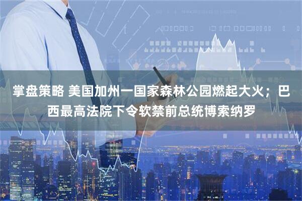 掌盘策略 美国加州一国家森林公园燃起大火；巴西最高法院下令软禁前总统博索纳罗