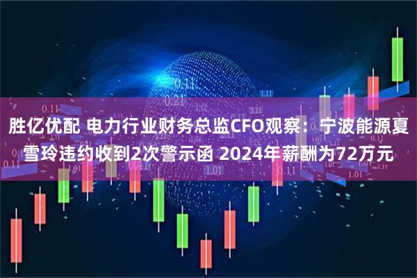 胜亿优配 电力行业财务总监CFO观察：宁波能源夏雪玲违约收到2次警示函 2024年薪酬为72万元