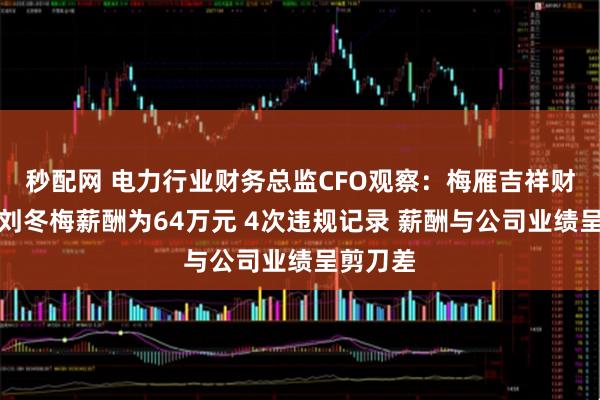 秒配网 电力行业财务总监CFO观察：梅雁吉祥财务总监刘冬梅薪酬为64万元 4次违规记录 薪酬与公司业绩呈剪刀差