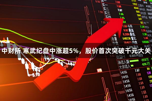 中财所 寒武纪盘中涨超5%，股价首次突破千元大关