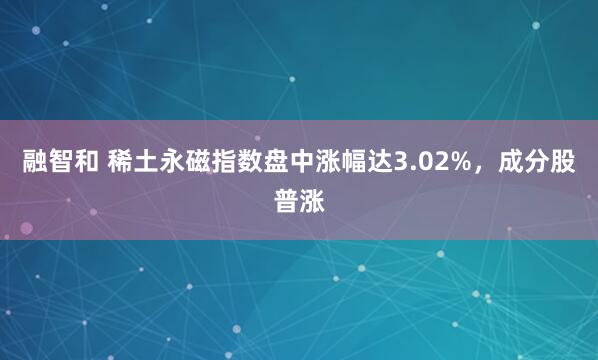融智和 稀土永磁指数盘中涨幅达3.02%，成分股普涨