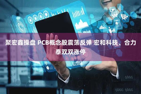 聚宏鑫操盘 PCB概念股震荡反弹 宏和科技、合力泰双双涨停