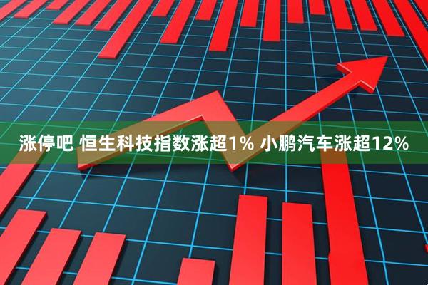 涨停吧 恒生科技指数涨超1% 小鹏汽车涨超12%