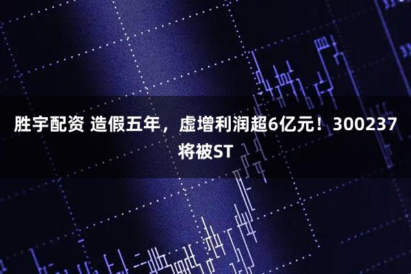 胜宇配资 造假五年,虚增利润超6亿元!300237将被ST